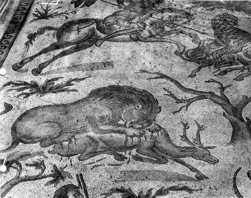 Apamée: grande mosaïque de chasse du Triclinos - Apamea: het grote jachtmozaïek