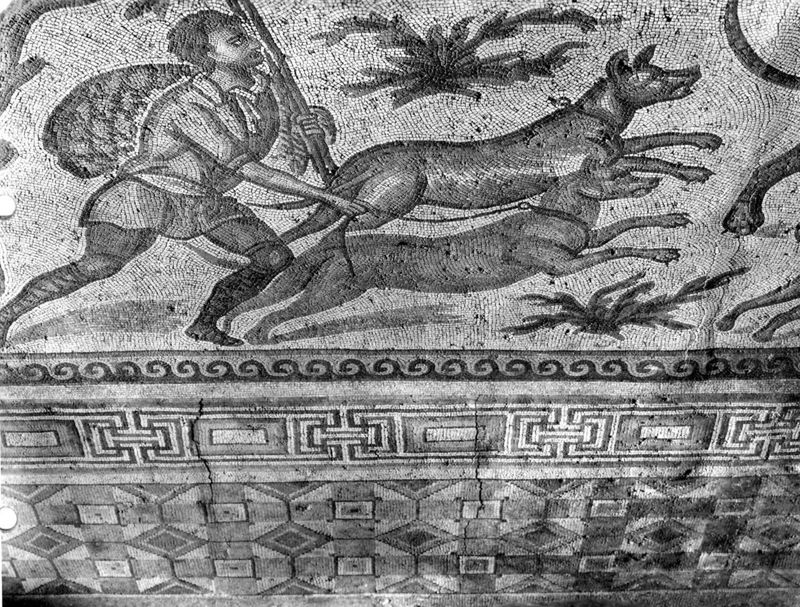 Apamée: grande mosaïque de chasse du Triclinos - Apamea: het grote jachtmozaïek