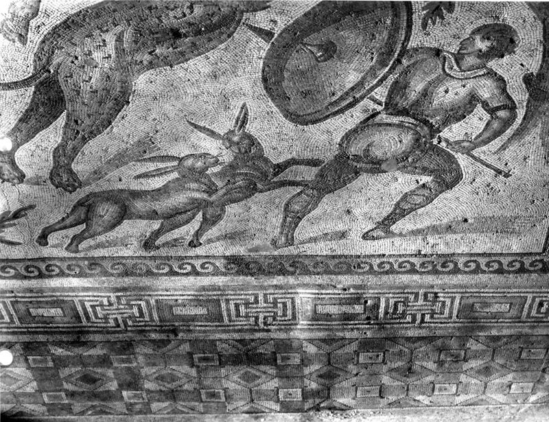 Apamée: grande mosaïque de chasse du Triclinos - Apamea: het grote jachtmozaïek