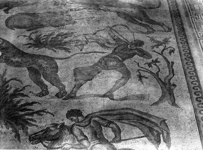 Apamée: grande mosaïque de chasse du Triclinos - Apamea: het grote jachtmozaïek