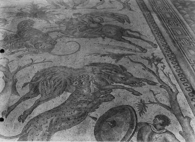 Apamée: grande mosaïque de chasse du Triclinos - Apamea: het grote jachtmozaïek
