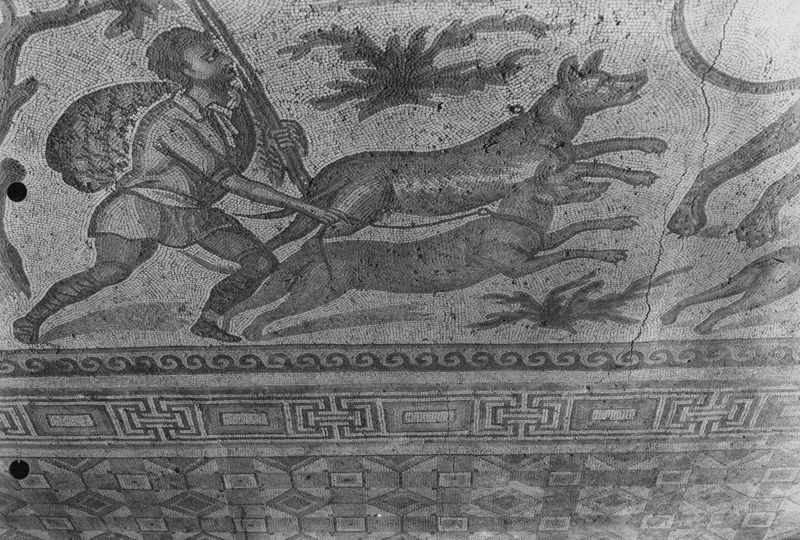 Apamée: grande mosaïque de chasse du Triclinos - Apamea: het grote jachtmozaïek
