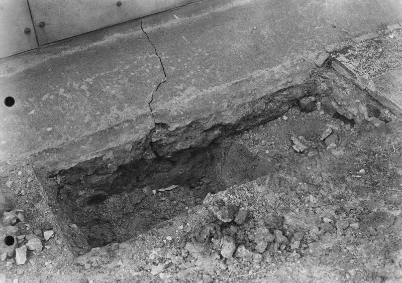 Apamée: grande mosaïque de chasse du Triclinos - Apamea: het grote jachtmozaïek