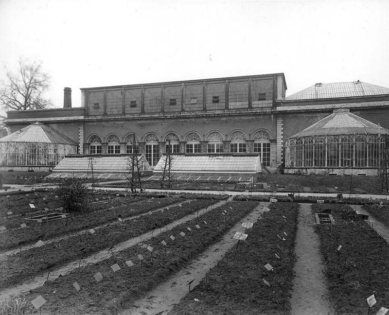 Kruidtuin