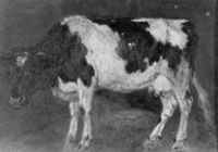 B167941