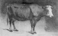 B167942