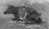 B167946