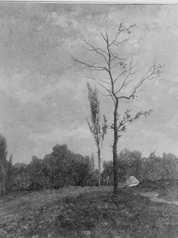 Landschap