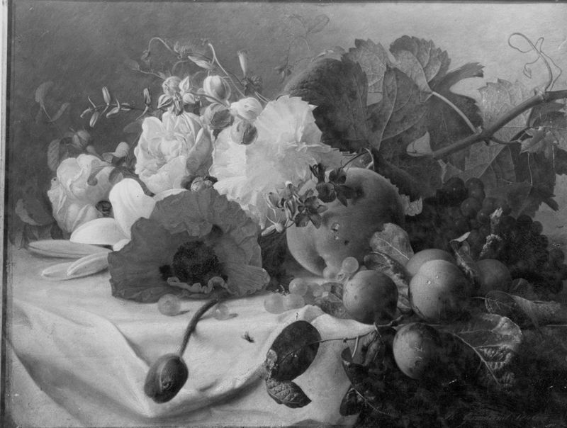 Fleurs et fruits
