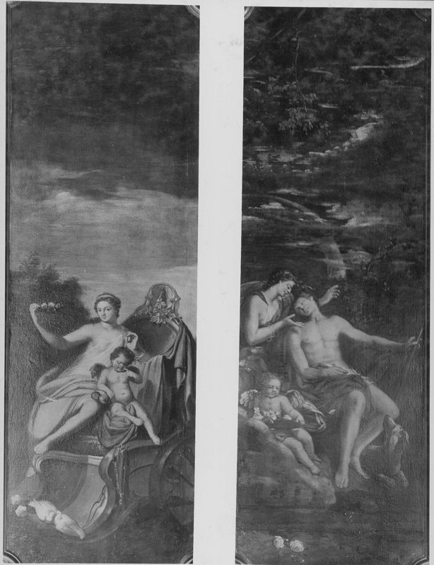 Vénus