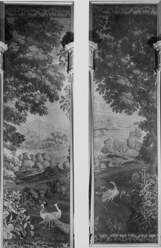 Paysage avec paons