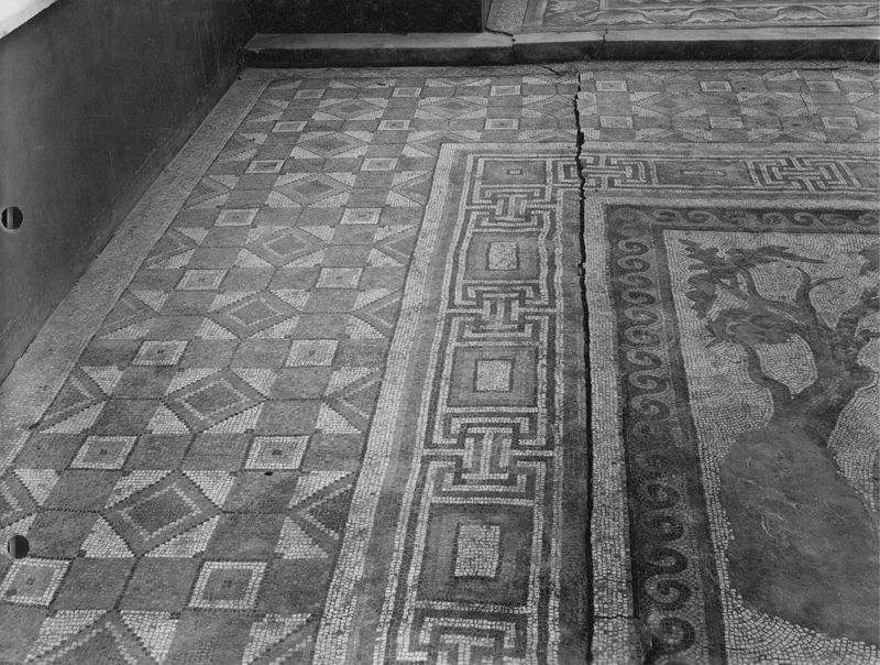 Apamée: grande mosaïque de chasse du Triclinos - Apamea: het grote jachtmozaïek