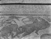 B169096