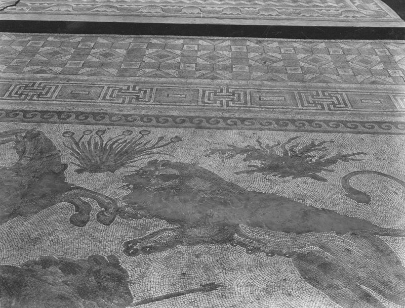 Apamée: grande mosaïque de chasse du Triclinos - Apamea: het grote jachtmozaïek