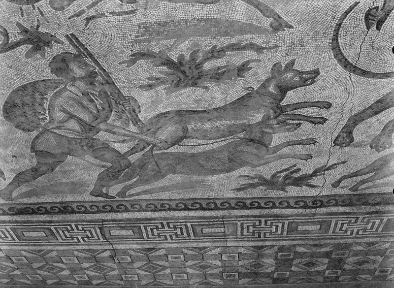 Apamée: grande mosaïque de chasse du Triclinos - Apamea: het grote jachtmozaïek