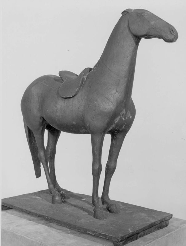 Gezadeld paard