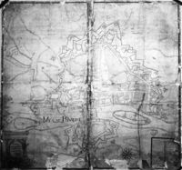 B169981