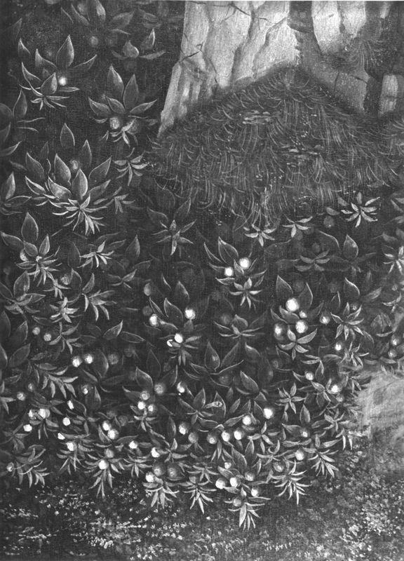 Lam Gods: H. Kluizenaars