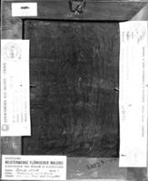 B172295