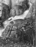 B172391