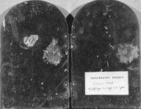 B172661