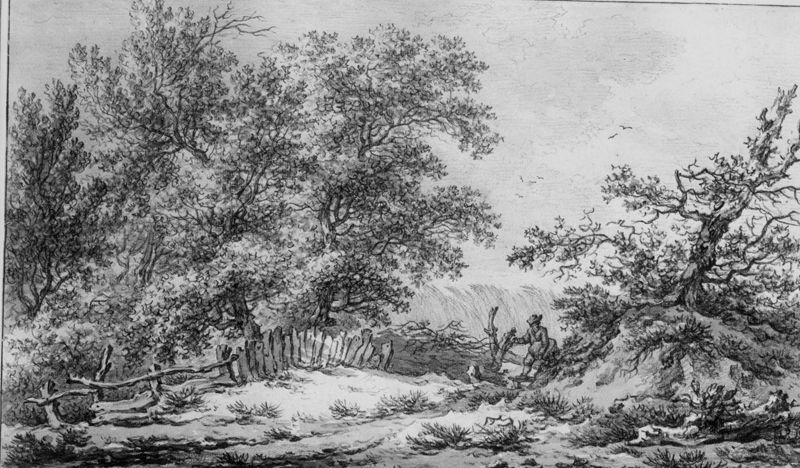 In de omgeving van Eext (Drenthe, Nederland)