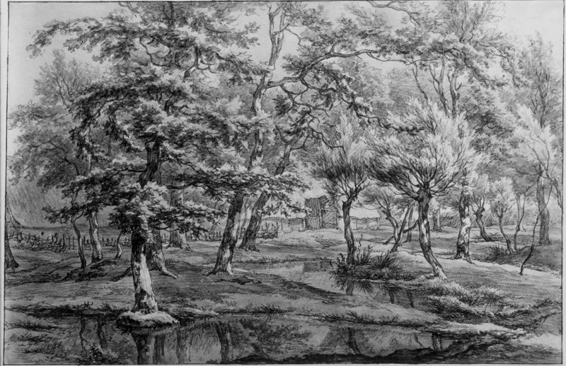 Eext (Drenthe). Boslandschap met beek