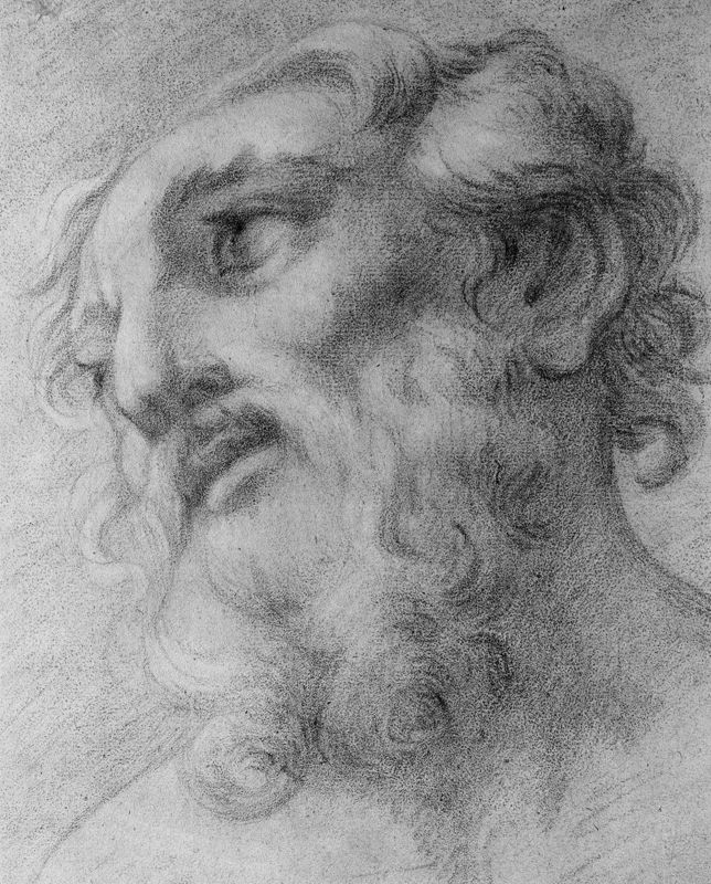 Hoofd van een man met baard