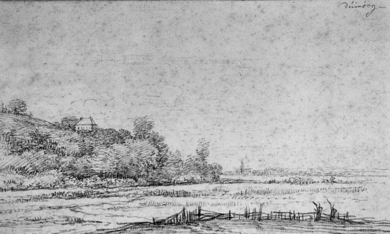Duin in de buurt van Arnhem (Nederland)