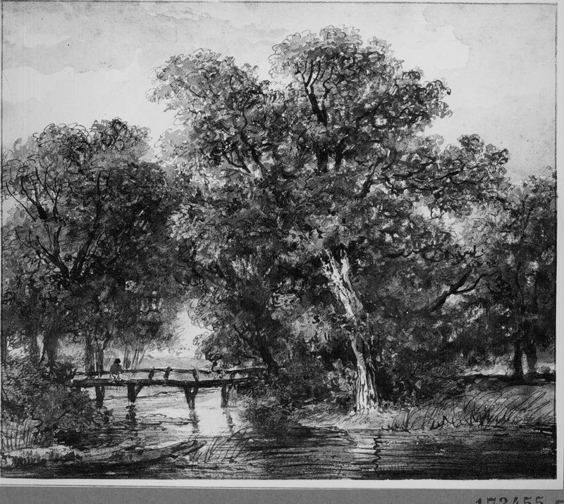 Riviertje met brug tussen bomen
