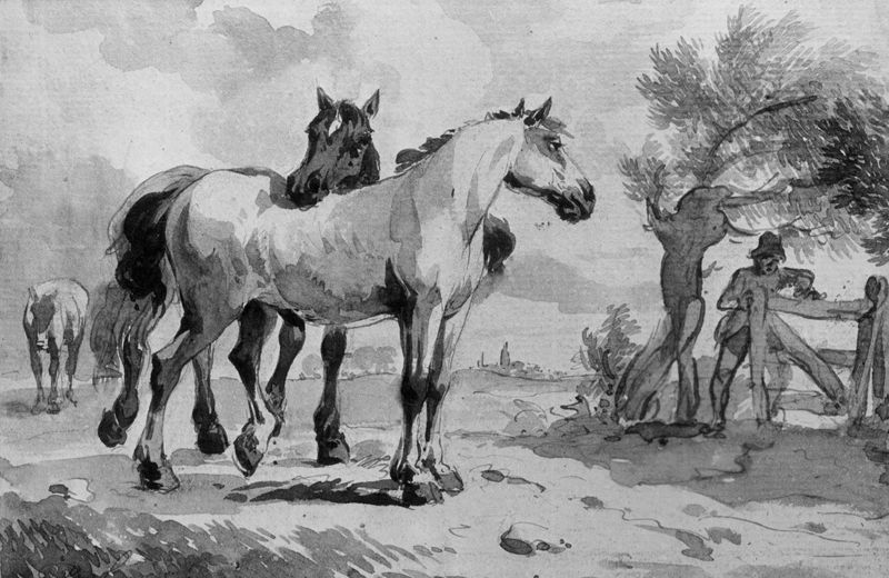 Paarden in de wei