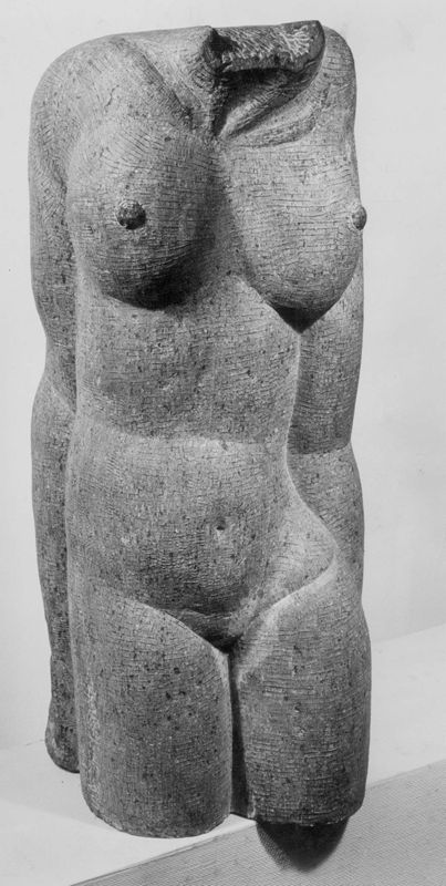 Torse féminin