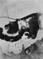 B177516