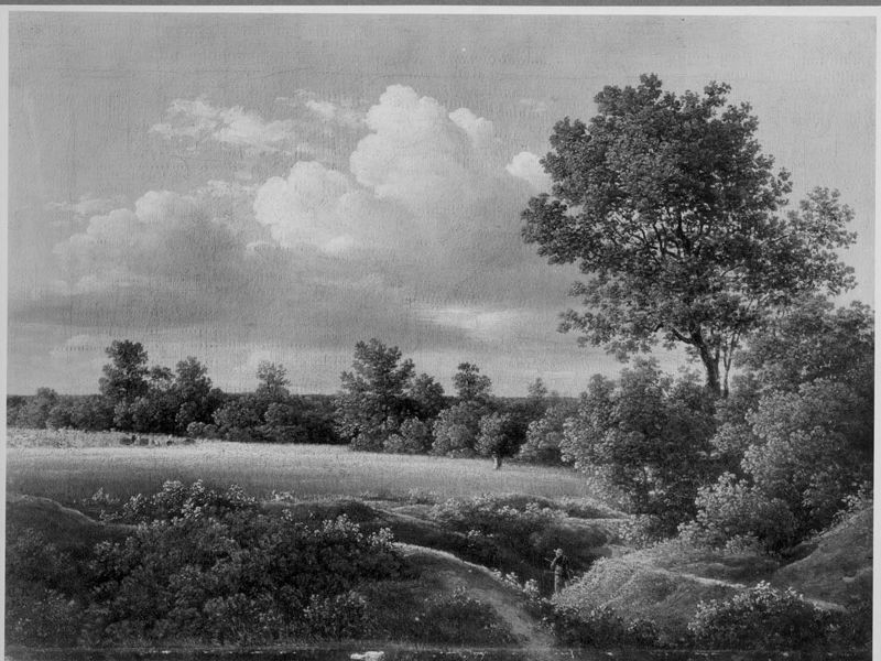 Le champ de blé