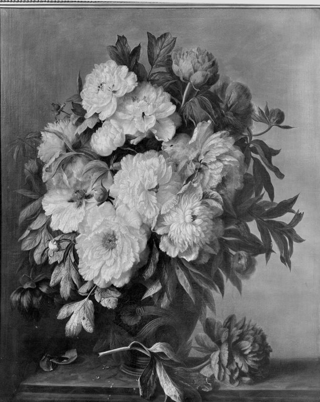 Fleurs