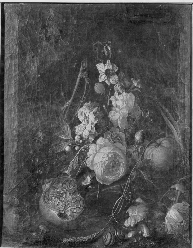 Fleurs et grenade