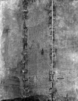B180591
