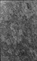 B181703