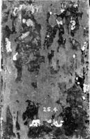B181919