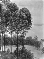 B181970