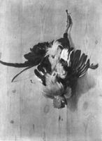 B182373