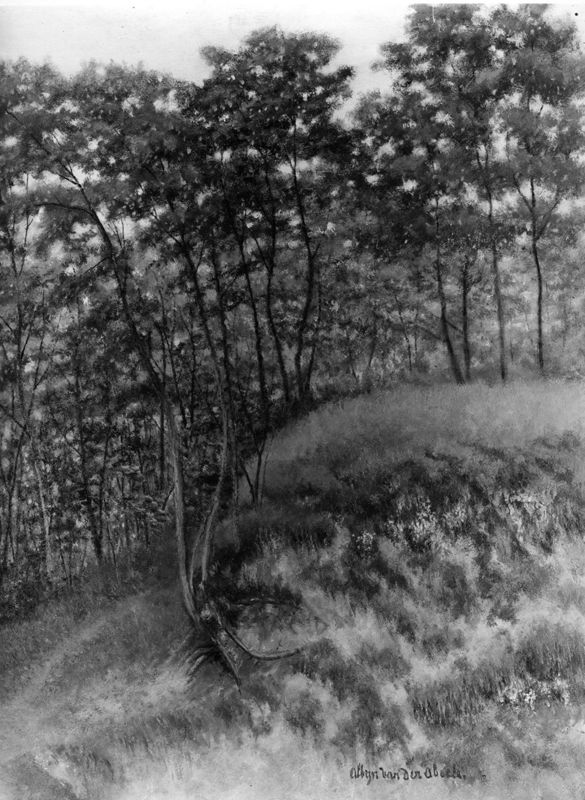 Sous-bois