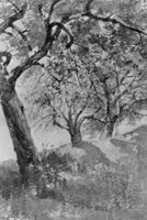 B183785