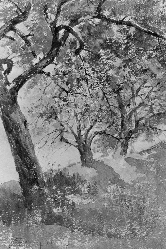 Etude d'arbres (I)