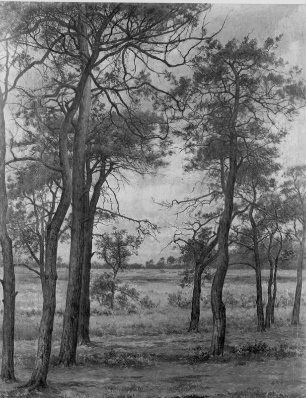 Environs d'Herenthals