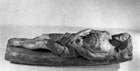 B184461