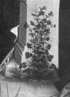 B184588