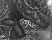 B185167