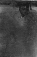 B185347