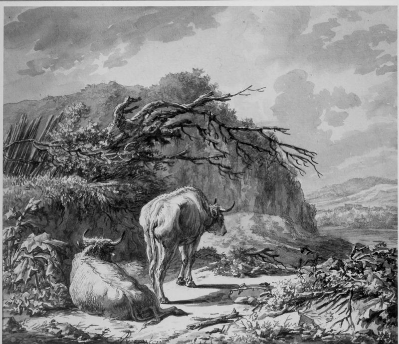 Berglandschap met twee koeien